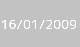 PUNKY REGGAE TOUR 2009